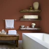 Dulux Ancient Copper bathroom wall